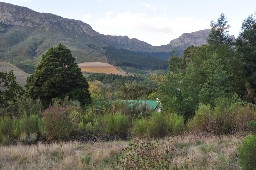 Kierie Kwaak Self Catering Vila Stellenbosch Exterior foto