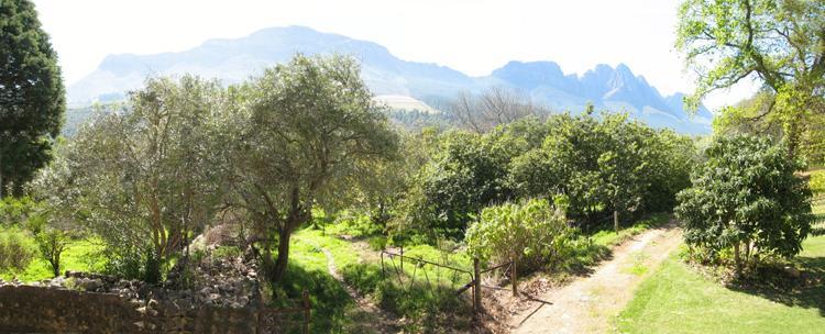 Kierie Kwaak Self Catering Vila Stellenbosch Exterior foto